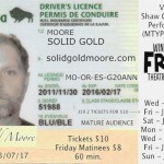 SOLID GOLD MOORE at the 2013 Winnipeg Fringe